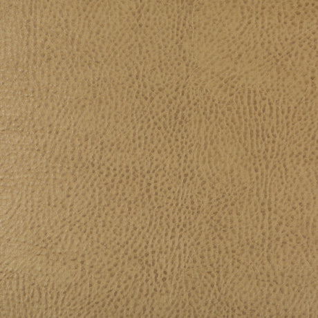 KRAVET DESIGN BEHOLDER.16.0 KRAVET DESIGN BEHOLDER-16 Fabric - Eade's Wallpaper