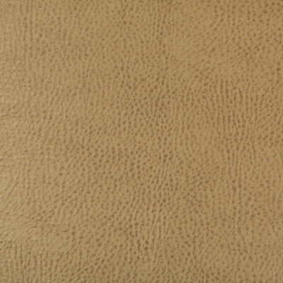 KRAVET DESIGN BEHOLDER.16.0 KRAVET DESIGN BEHOLDER-16 Fabric - Eade's Wallpaper
