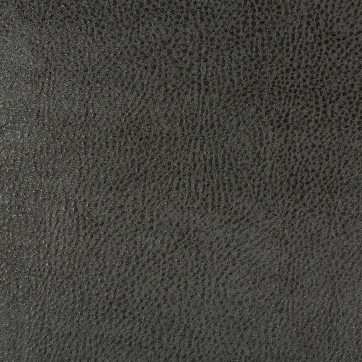 KRAVET DESIGN BEHOLDER.21.0 KRAVET DESIGN BEHOLDER-21 Fabric - Eade's Wallpaper