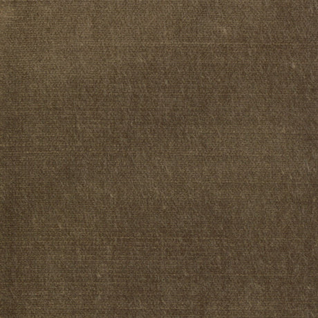 STOUT BELG-12 BELGIUM 12 CAPPUCCINO Fabric - Eades Wallpaper & Fabric
