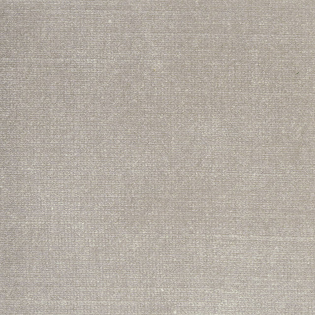 STOUT BELG-26 BELGIUM 26 BIRCH Fabric - Eades Wallpaper & Fabric
