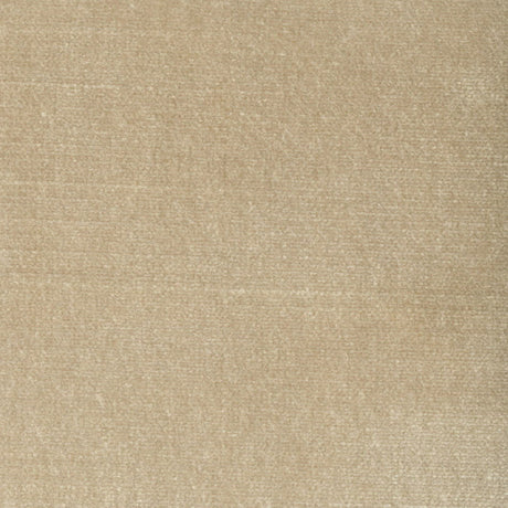 STOUT BELG-3 BELGIUM 3 CHAMPAGNE Fabric - Eades Wallpaper & Fabric