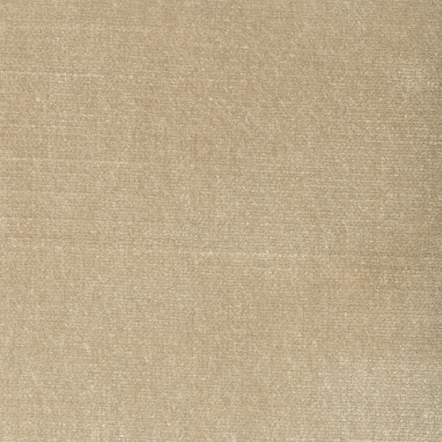 STOUT BELG-3 BELGIUM 3 CHAMPAGNE Fabric - Eades Wallpaper & Fabric