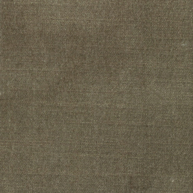 STOUT BELG-4 BELGIUM 4 COCOA Fabric - Eades Wallpaper & Fabric