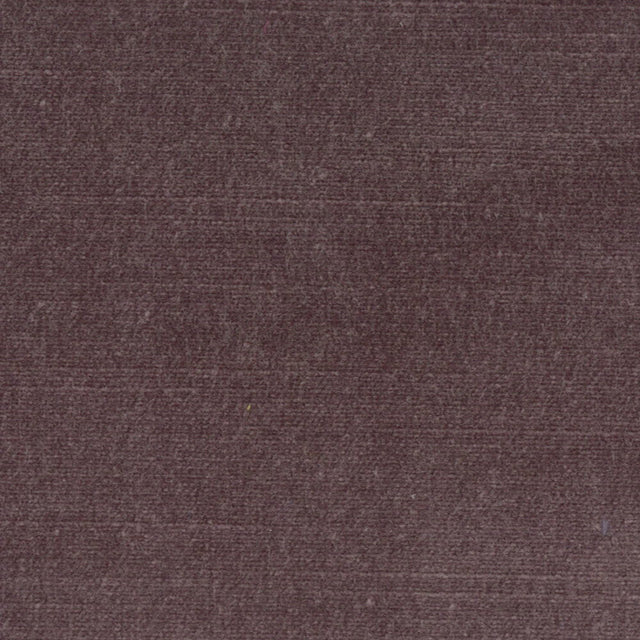 STOUT BELG-5 BELGIUM 5 PURPLE Fabric - Eades Wallpaper & Fabric