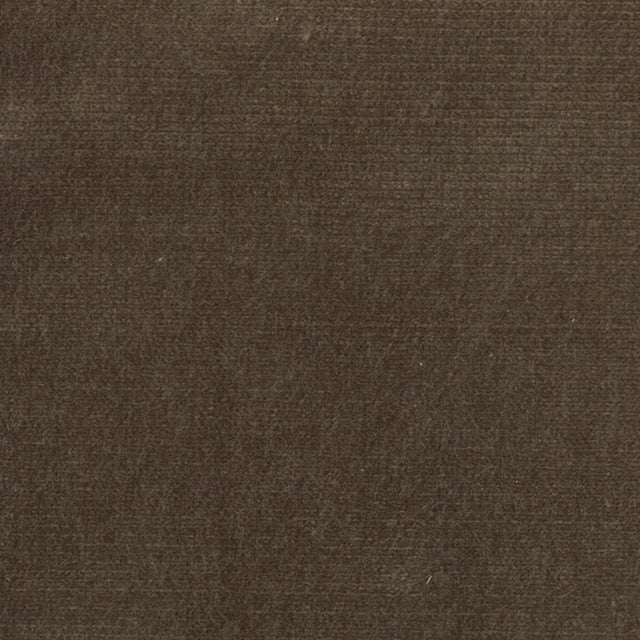 STOUT BELG-7 BELGIUM 7 SHADOW Fabric - Eades Wallpaper & Fabric