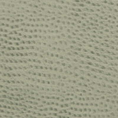 KRAVET CONTRACT BELUS.135.0 KRAVET CONTRACT BELUS-135 Fabric - Eade's Wallpaper