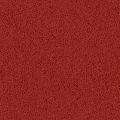 KRAVET CONTRACT BELUS.19.0 KRAVET CONTRACT BELUS-19 Fabric - Eade's Wallpaper
