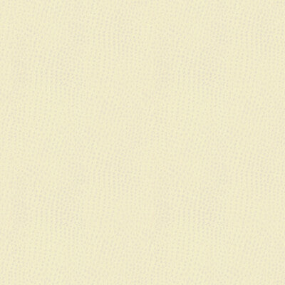 KRAVET CONTRACT BELUS.1.0 KRAVET CONTRACT BELUS-1 Fabric - Eade's Wallpaper