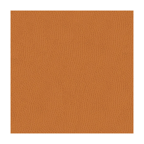 KRAVET CONTRACT BELUS.212.0 KRAVET CONTRACT BELUS-212 Fabric - Eade's Wallpaper