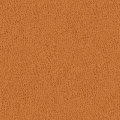 KRAVET CONTRACT BELUS.212.0 KRAVET CONTRACT BELUS-212 Fabric - Eade's Wallpaper