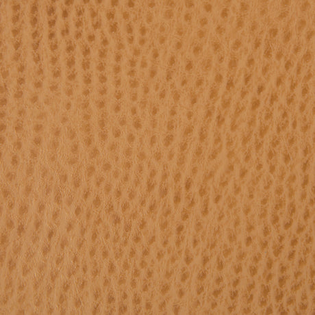 KRAVET CONTRACT BELUS.4.0 KRAVET CONTRACT BELUS-4 Fabric - Eade's Wallpaper
