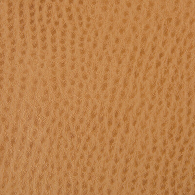 KRAVET CONTRACT BELUS.4.0 KRAVET CONTRACT BELUS-4 Fabric - Eade's Wallpaper