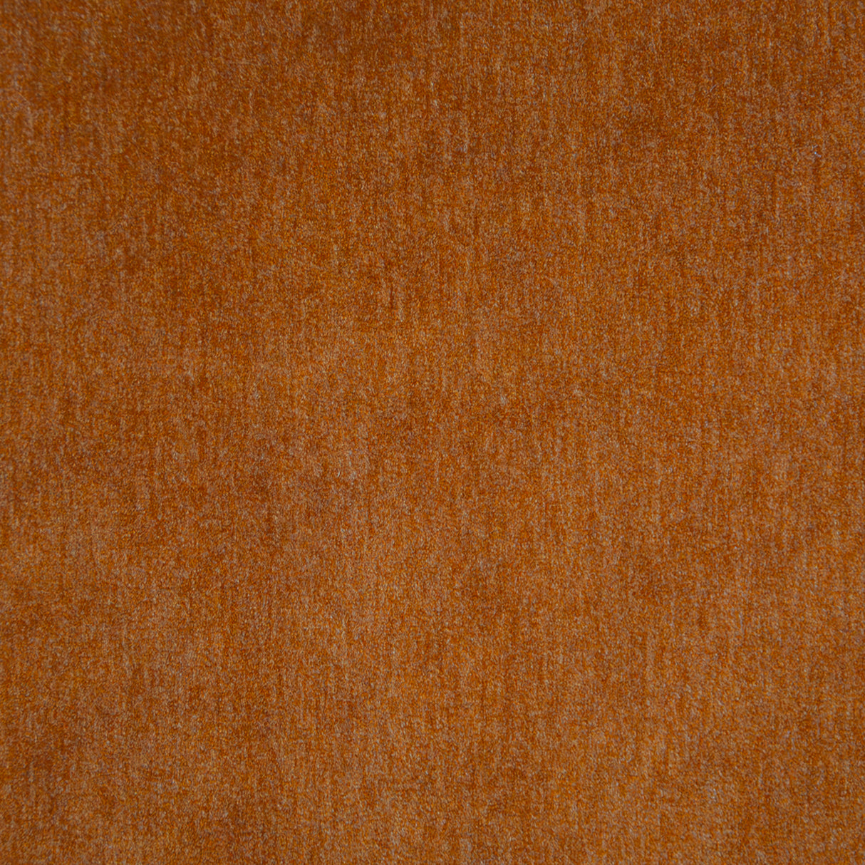 Eade’s # 109 PERSIMMON