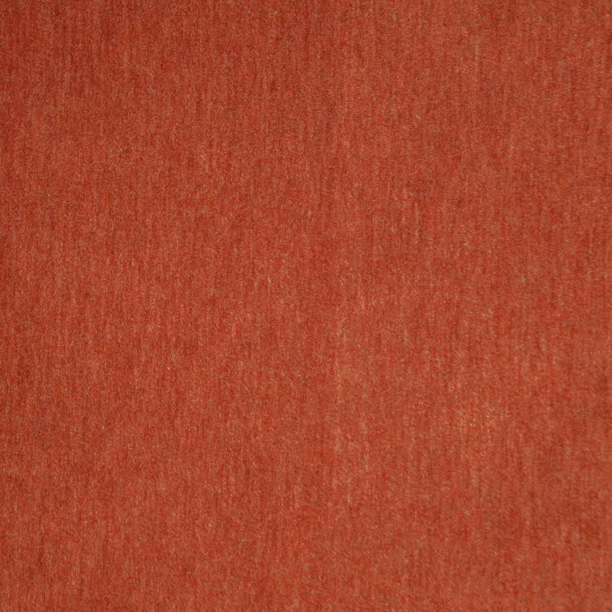 Eade’s # 110 BLOOD ORANGE