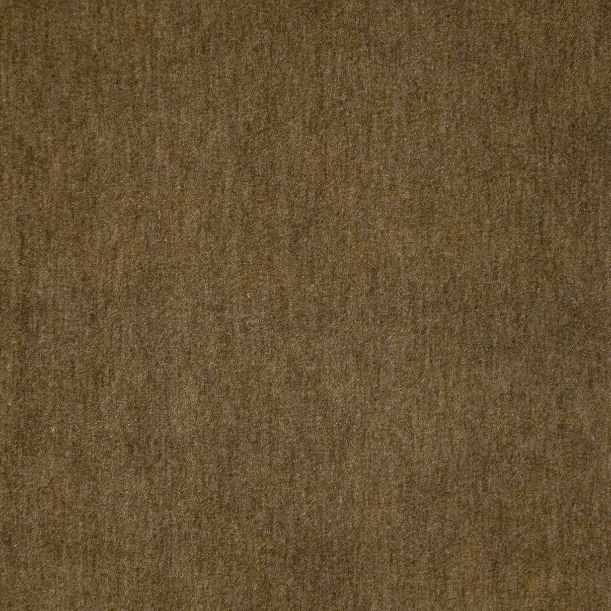 Eade’s # 119 BARK