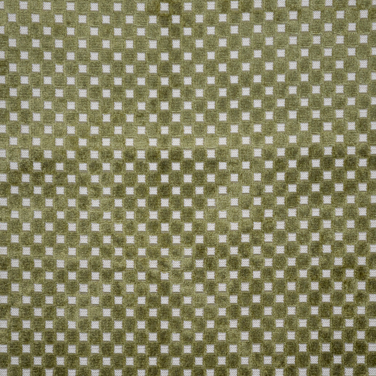 Eade’s # 633 OLIVE
