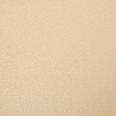 KRAVET CONTRACT BERTA.16.0 KRAVET CONTRACT BERTA-16 Fabric - Eade's Wallpaper