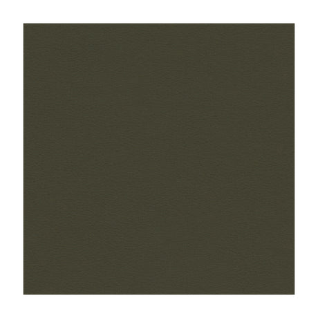 KRAVET CONTRACT BERTA.21.0 KRAVET CONTRACT BERTA-21 Fabric - Eade's Wallpaper