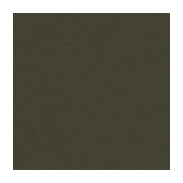 KRAVET CONTRACT BERTA.21.0 KRAVET CONTRACT BERTA-21 Fabric - Eade's Wallpaper