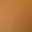 KRAVET CONTRACT BERTA.4.0 KRAVET CONTRACT BERTA-4 Fabric - Eade's Wallpaper