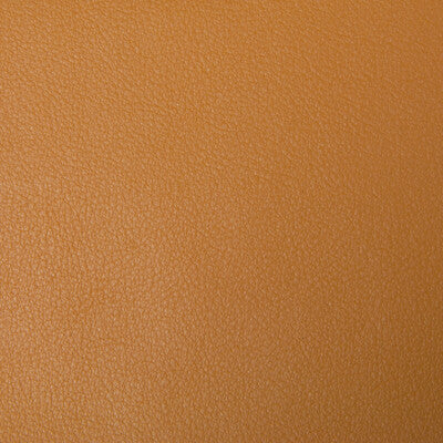 KRAVET CONTRACT BERTA.4.0 KRAVET CONTRACT BERTA-4 Fabric - Eade's Wallpaper