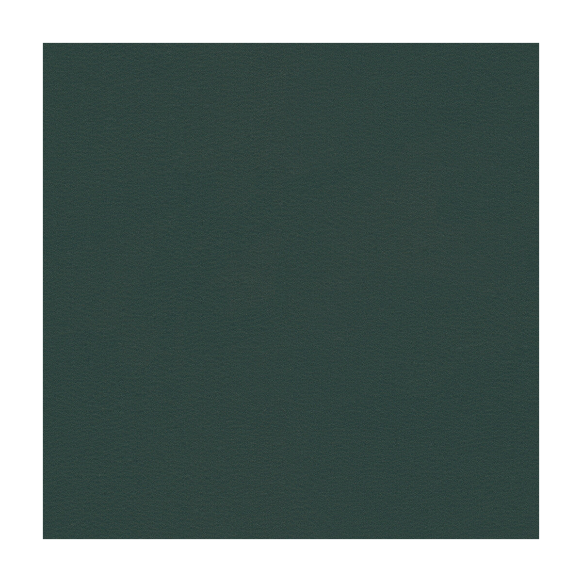 KRAVET CONTRACT BERTA.5.0 KRAVET CONTRACT BERTA-5 Fabric - Eade's Wallpaper
