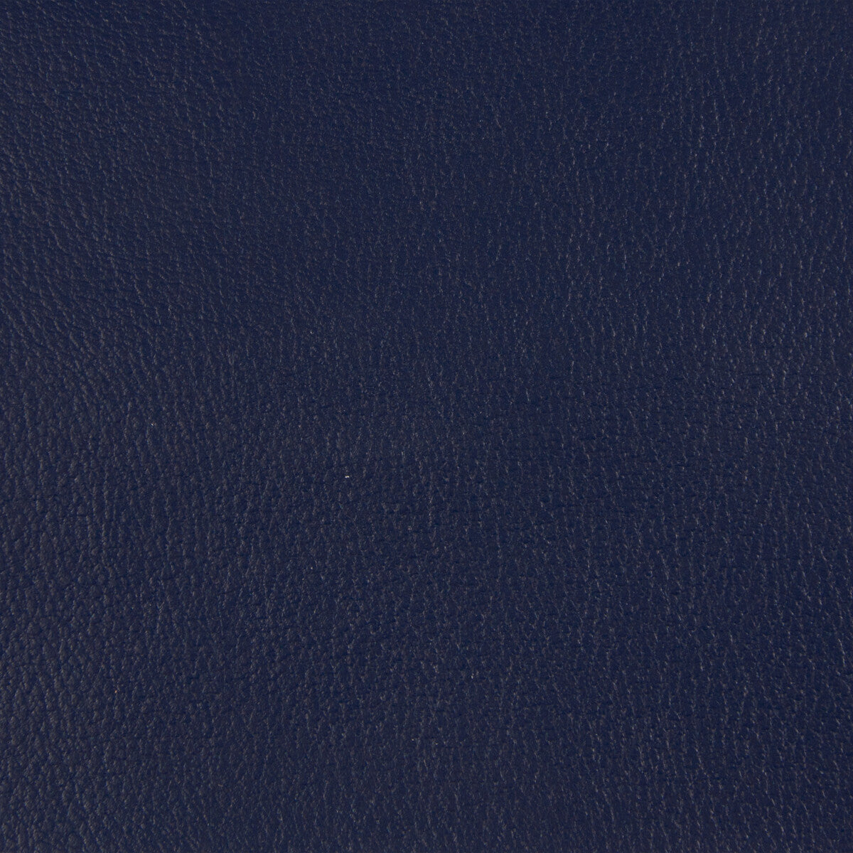 KRAVET CONTRACT BERTA.50.0 KRAVET CONTRACT BERTA-50 Fabric - Eade's Wallpaper