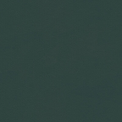 KRAVET CONTRACT BERTA.5.0 KRAVET CONTRACT BERTA-5 Fabric - Eade's Wallpaper