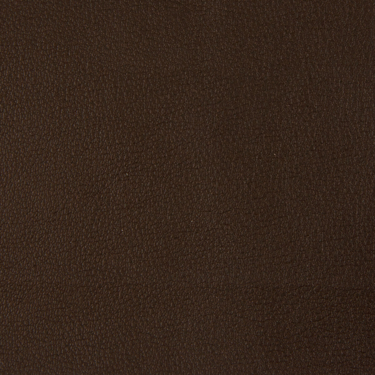 KRAVET CONTRACT BERTA.66.0 KRAVET CONTRACT BERTA-66 Fabric - Eade's Wallpaper
