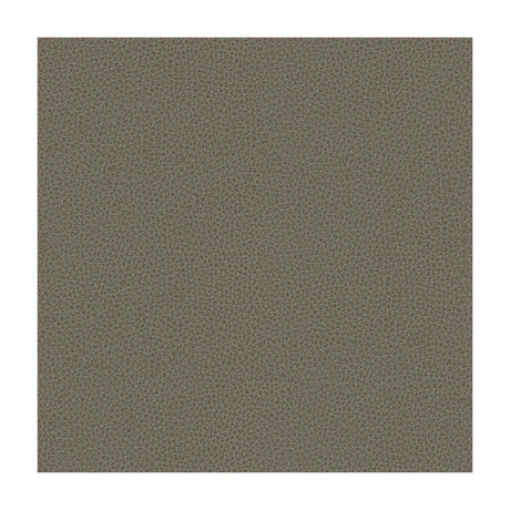 KRAVET CONTRACT BESS.11.0 KRAVET CONTRACT BESS-11 Fabric - Eade's Wallpaper