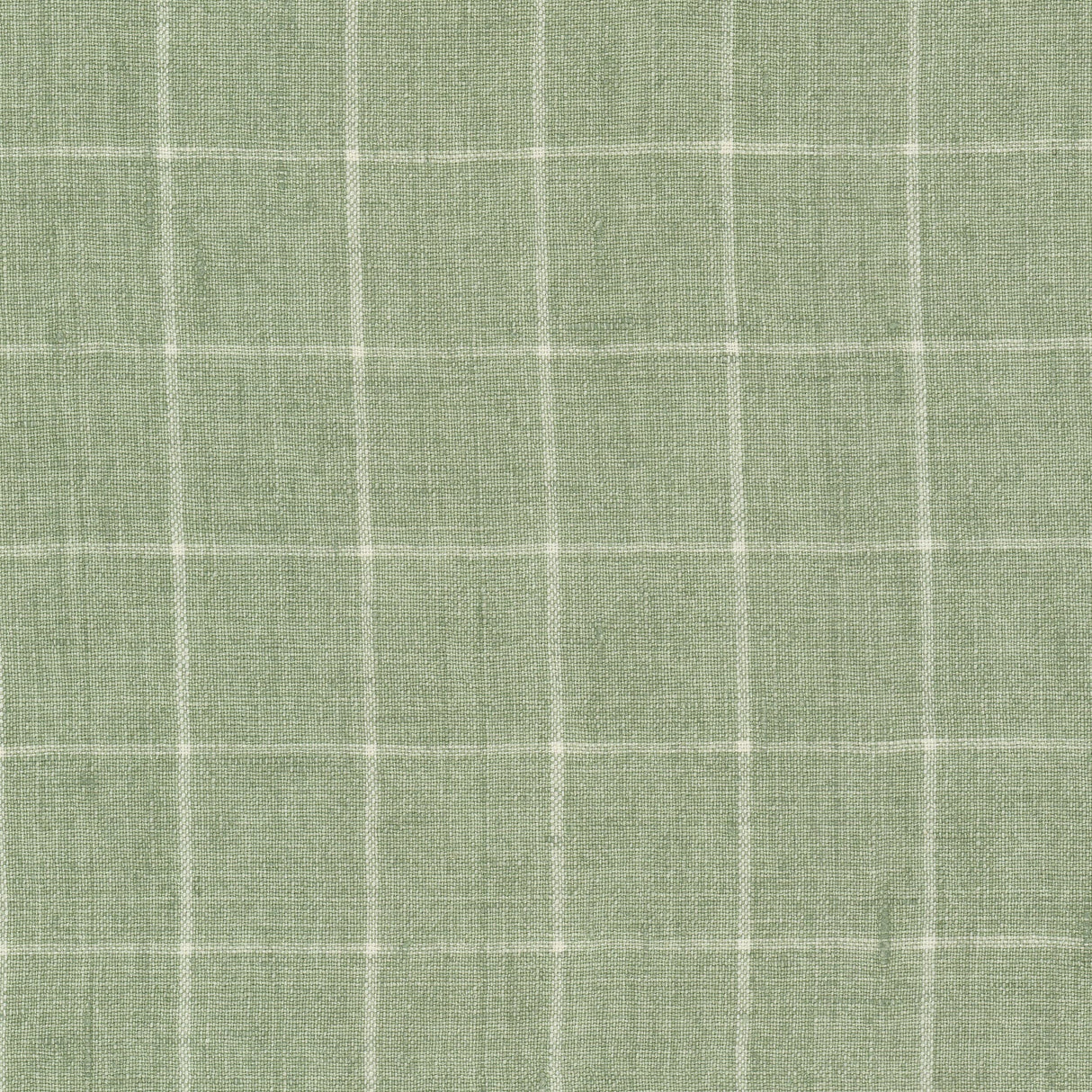 Eade's BEUL-1-sample PISTACHIO