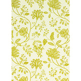 G P & J BAKER BF10500.755.0 LARKHILL LIME Fabric - Eade's Wallpaper