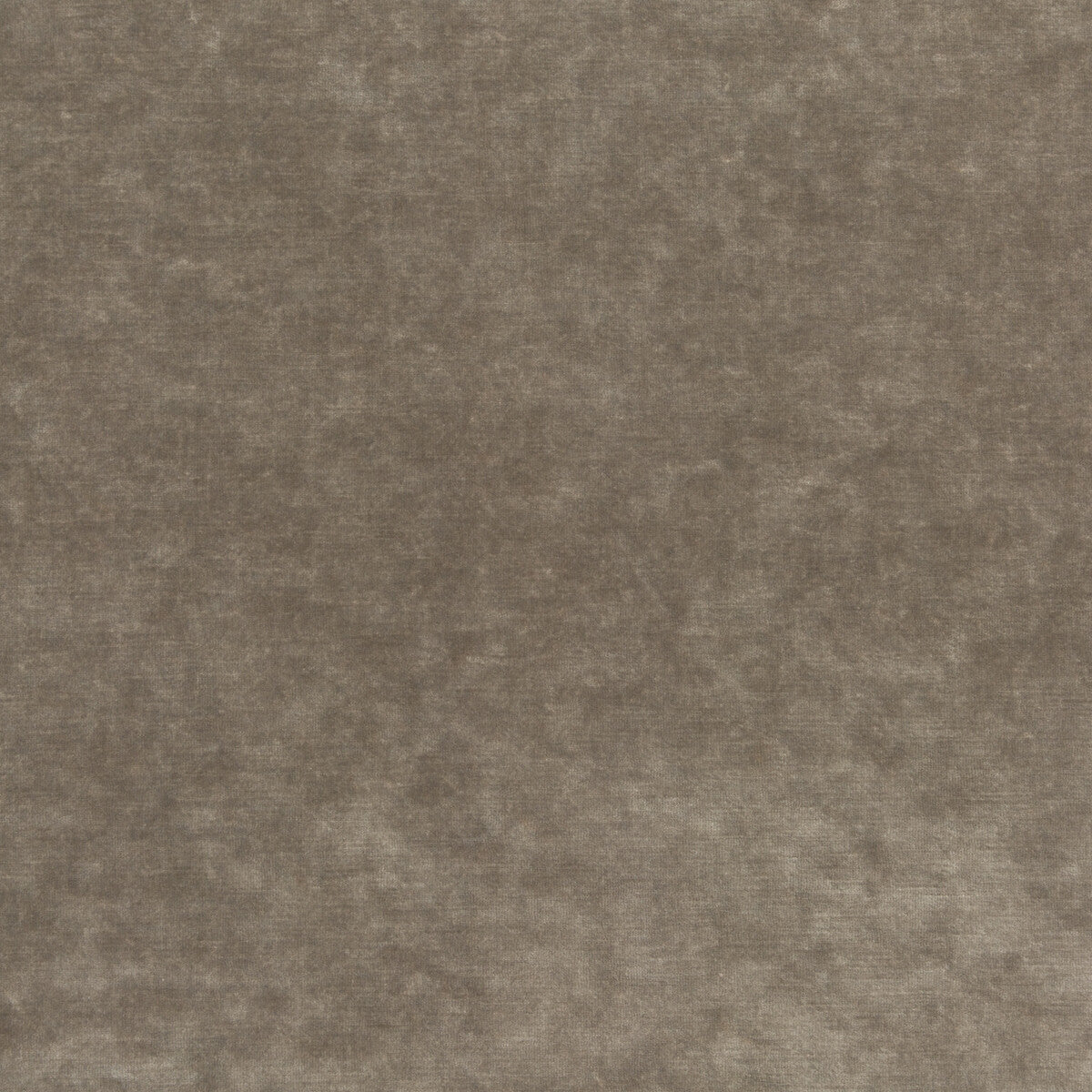 G P & J BAKER BF10658.285.0 KING'S VELVET MINK Fabric - Eade's Wallpaper