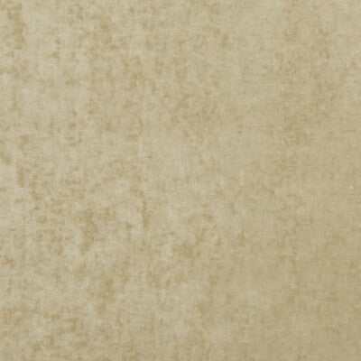 G P & J BAKER BF10700.106.0 VINTAGE VELVET OYSTER Fabric - Eade's Wallpaper