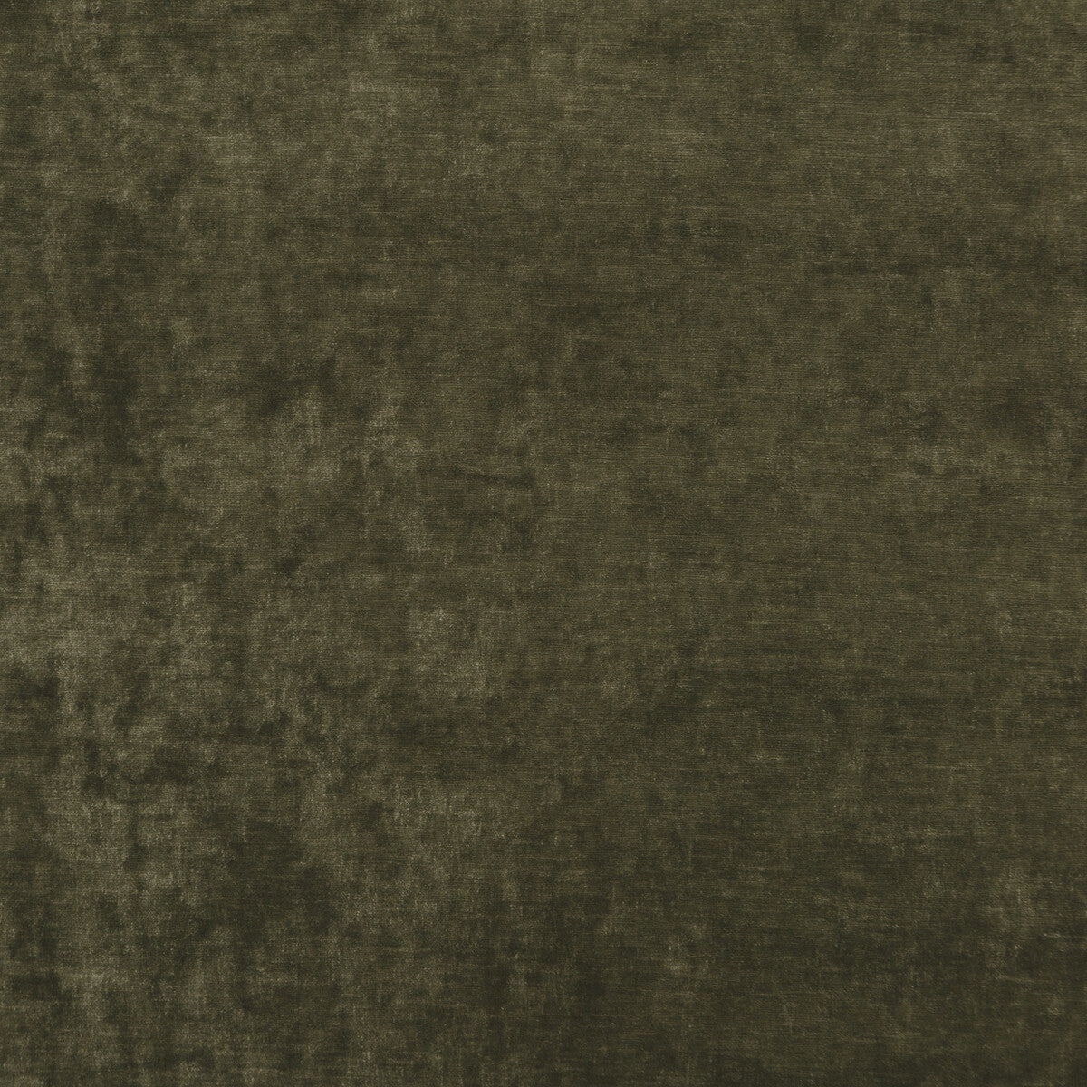 G P & J BAKER BF10700.730.0 VINTAGE VELVET OLIVE Fabric - Eade's Wallpaper