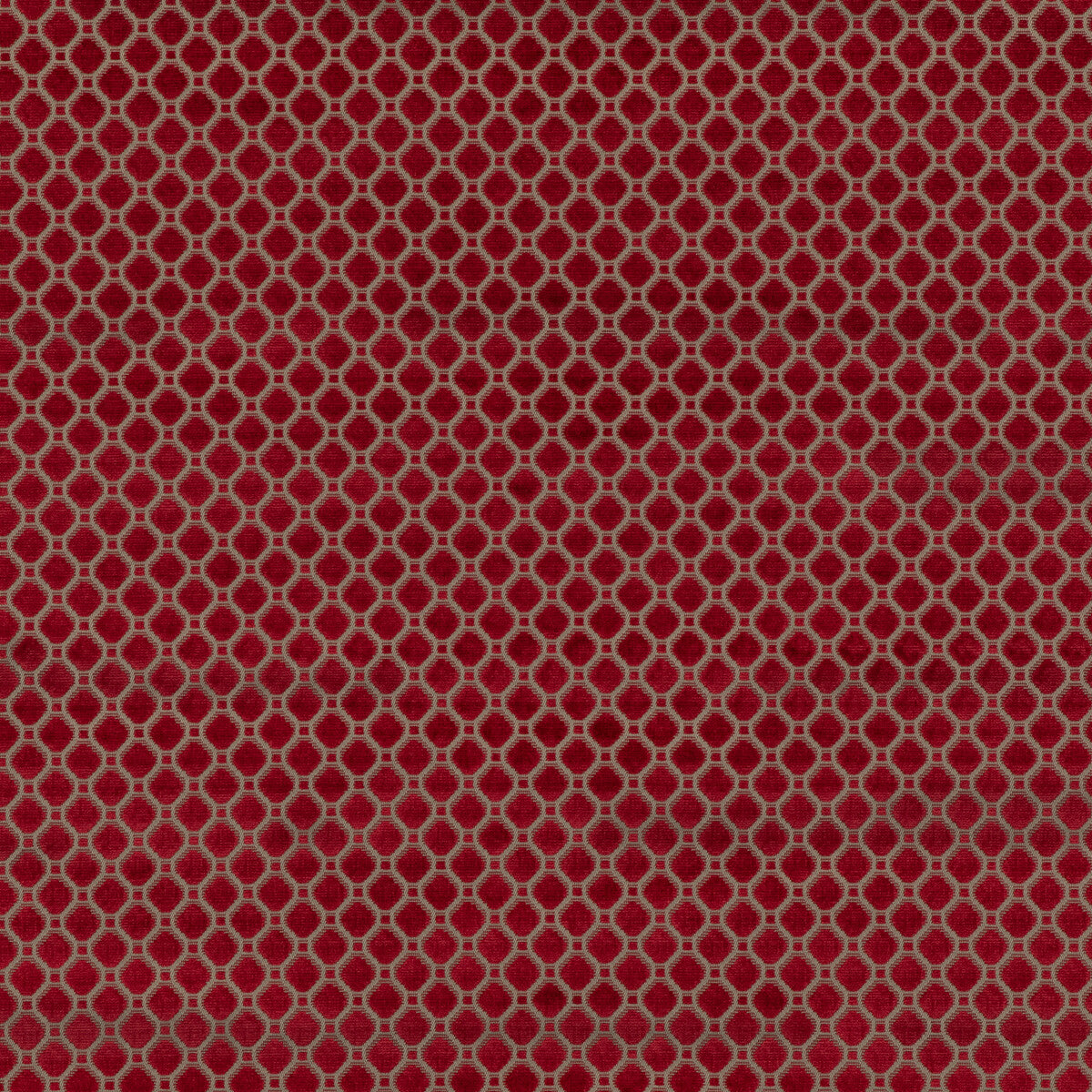 G P & J BAKER BF10826.450.0 INDUS VELVET RED Fabric - Eade's Wallpaper