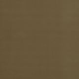 G P & J BAKER BF10838.170.0 BAKER HOUSE VELVET CAMEL Fabric - Eade's Wallpaper