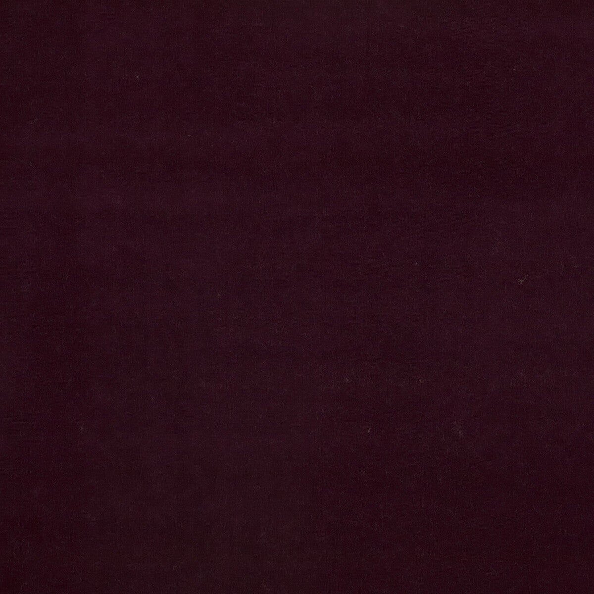 G P & J BAKER BF10838.590.0 BAKER HOUSE VELVET AUBERGINE Fabric - Eade's Wallpaper
