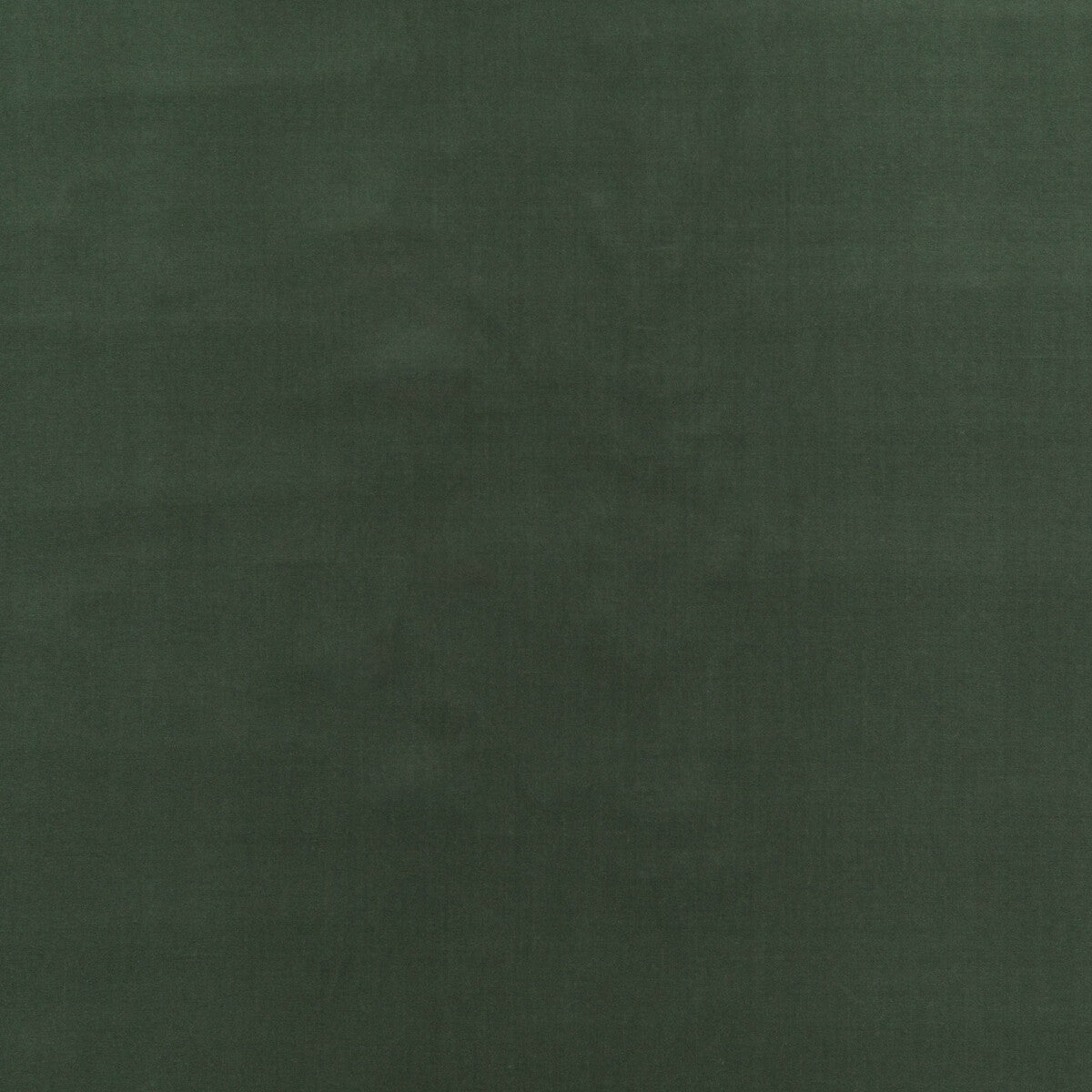 G P & J BAKER BF10838.773.0 BAKER HOUSE VELVET EUCALYPTUS Fabric - Eade's Wallpaper