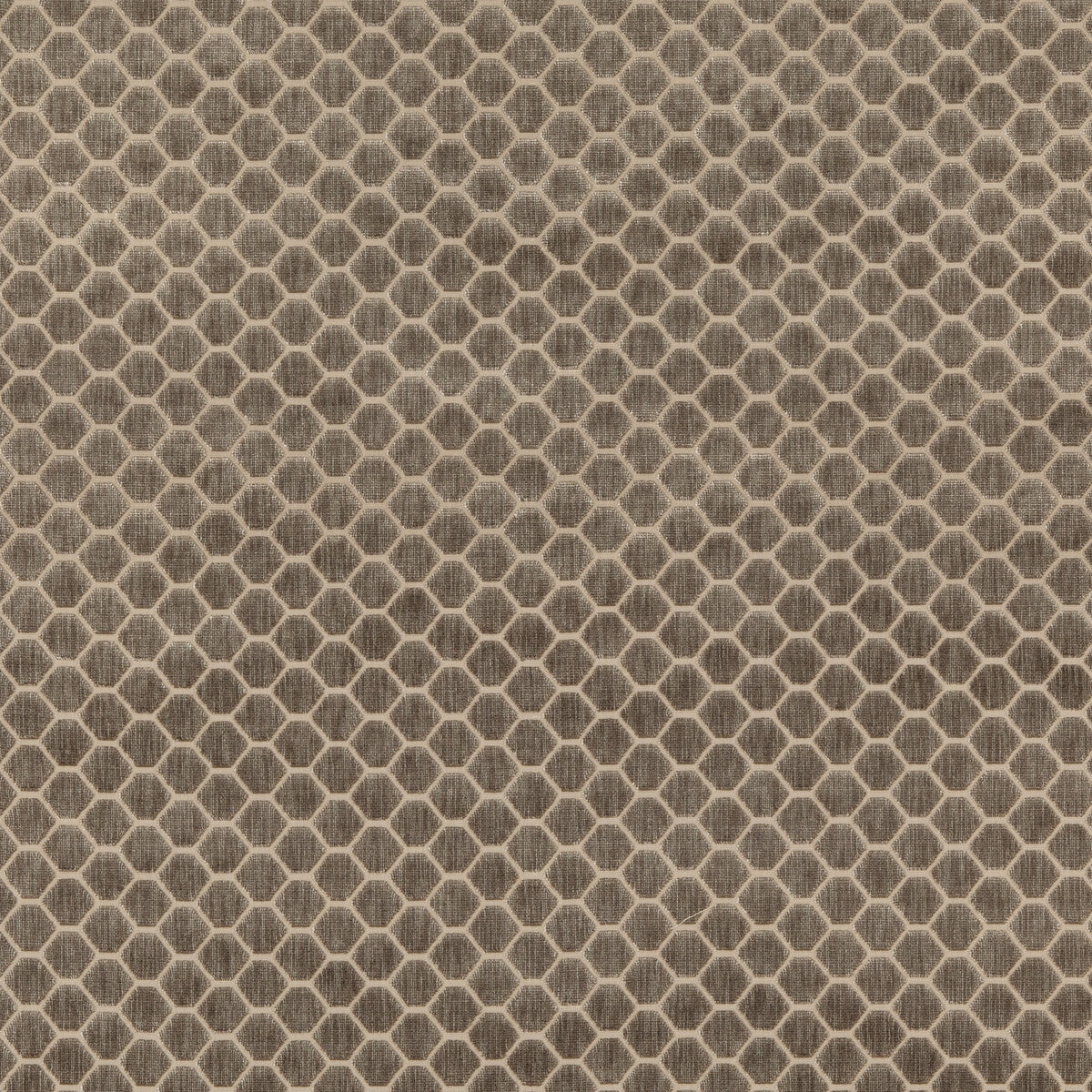 G P & J BAKER BF10879.240.0 SWANBOURNE MOLE Fabric - Eade's Wallpaper