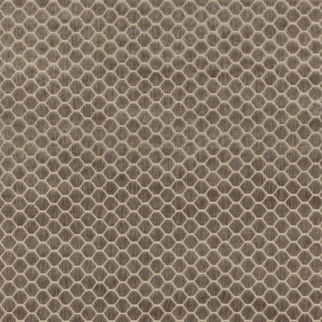 G P & J BAKER BF10879.240.0 SWANBOURNE MOLE Fabric - Eade's Wallpaper
