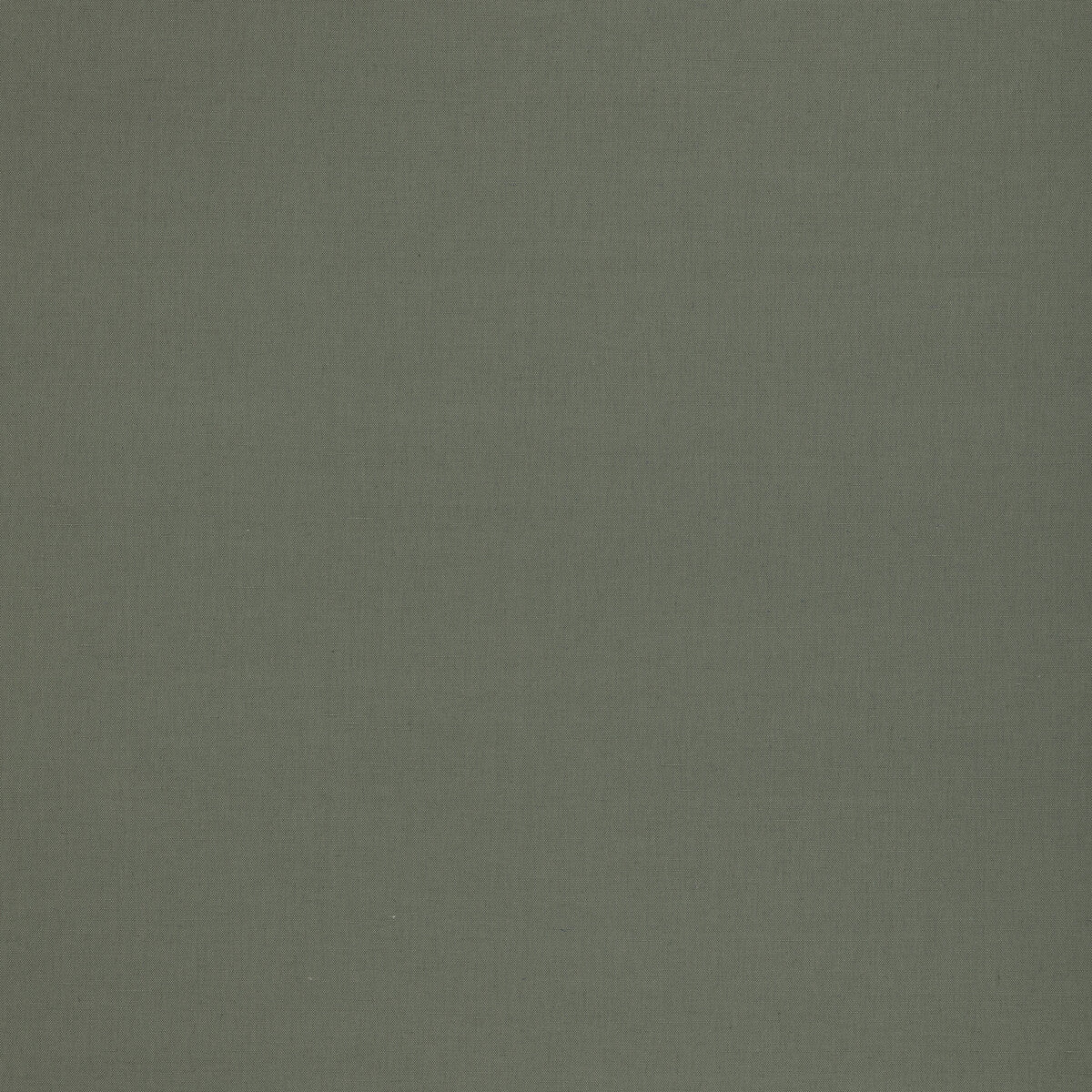 G P & J BAKER BF11046.775.0 KEMBLE FERN Fabric - Eade's Wallpaper