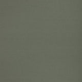 G P & J BAKER BF11046.775.0 KEMBLE FERN Fabric - Eade's Wallpaper
