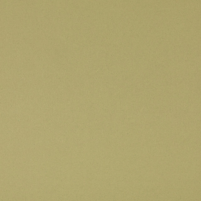 G P & J BAKER BF11066.736.0 KIT'S LINEN GRASS Fabric - Eade's Wallpaper