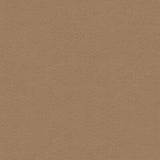 G P & J BAKER BF30787.6.0 ULTRASUEDE OTTER Fabric - Eade's Wallpaper