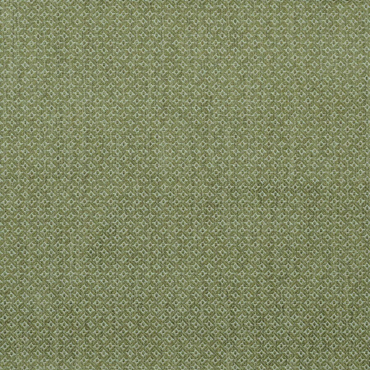 LEE JOFA BFC-3677.314.0 CAVENDISH LIME Fabric - Eade's Wallpaper