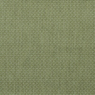 LEE JOFA BFC-3677.314.0 CAVENDISH LIME Fabric - Eade's Wallpaper