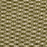 LEE JOFA BFC-3692.30.0 CARLTON MOSS Fabric - Eade's Wallpaper