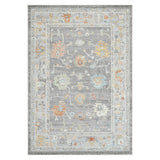 Amer Rugs BHM-2 Bohemian Classic Bordered Area Rug